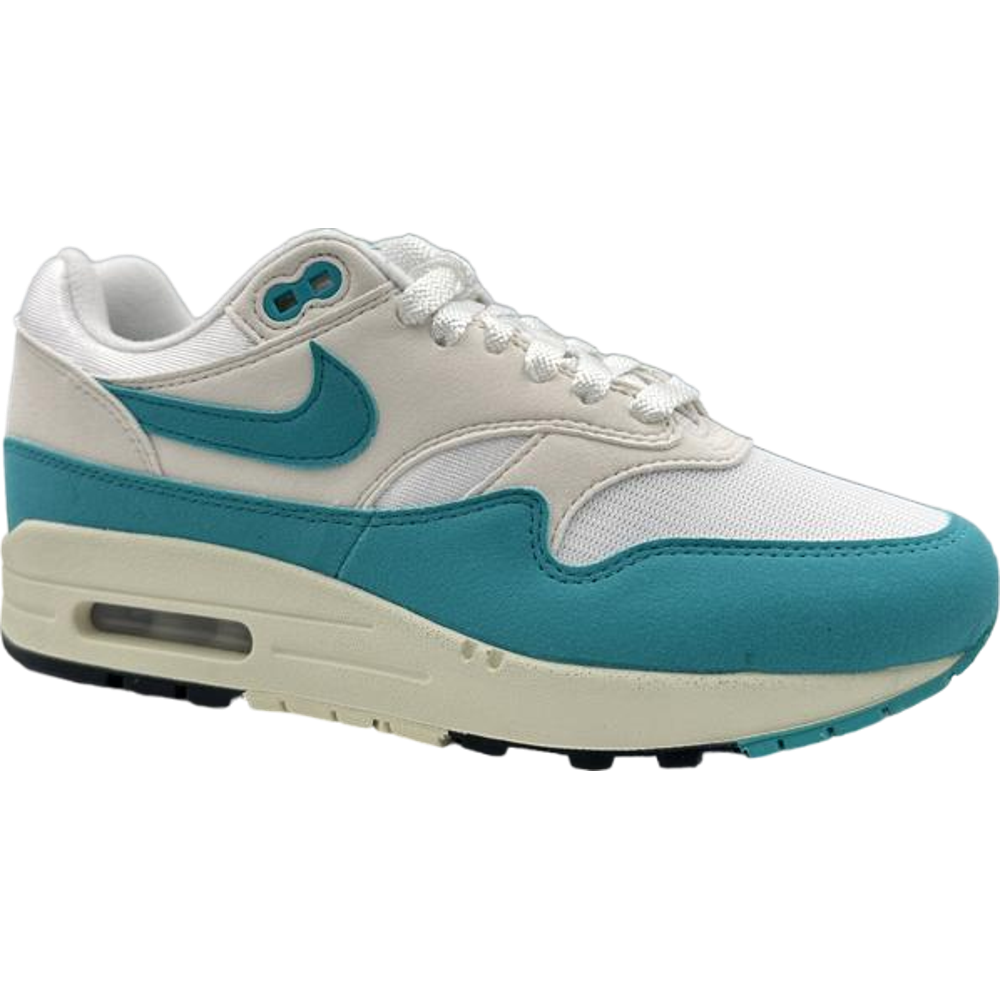 Nike Air Max 1 Dusty Cactus (Women's)