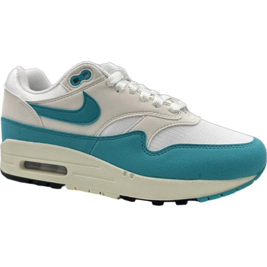 Nike Air Max 1 Dusty Cactus (Women's)
